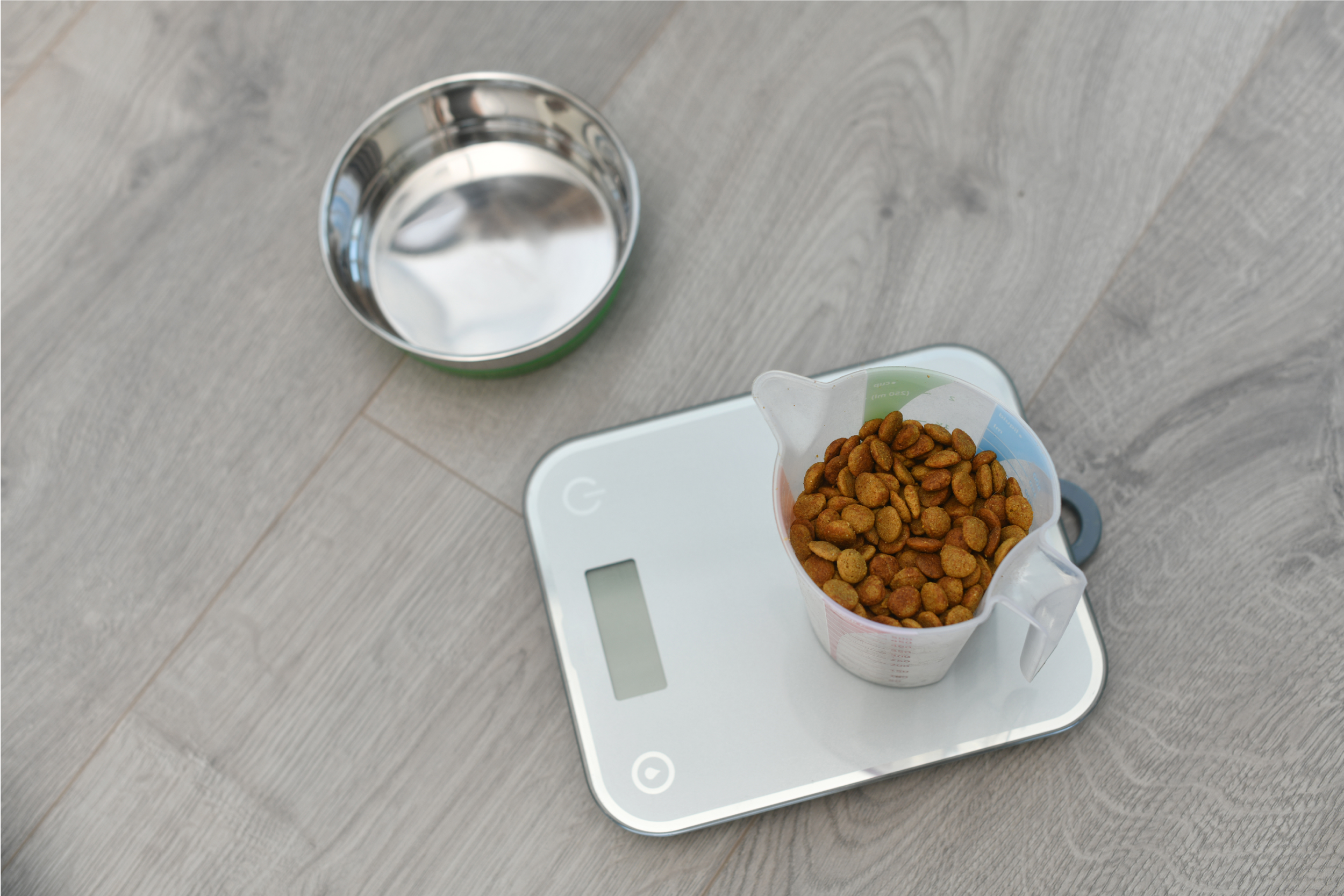 Are you measuring pet food properly?