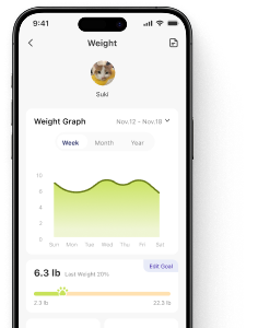 Personalized Feeding Insights 