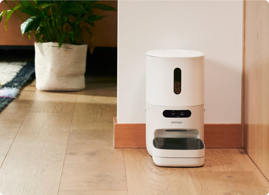PawSync feeder in home environment