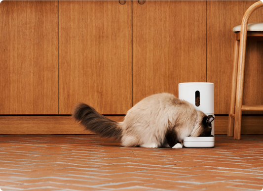 PawSync product detail image