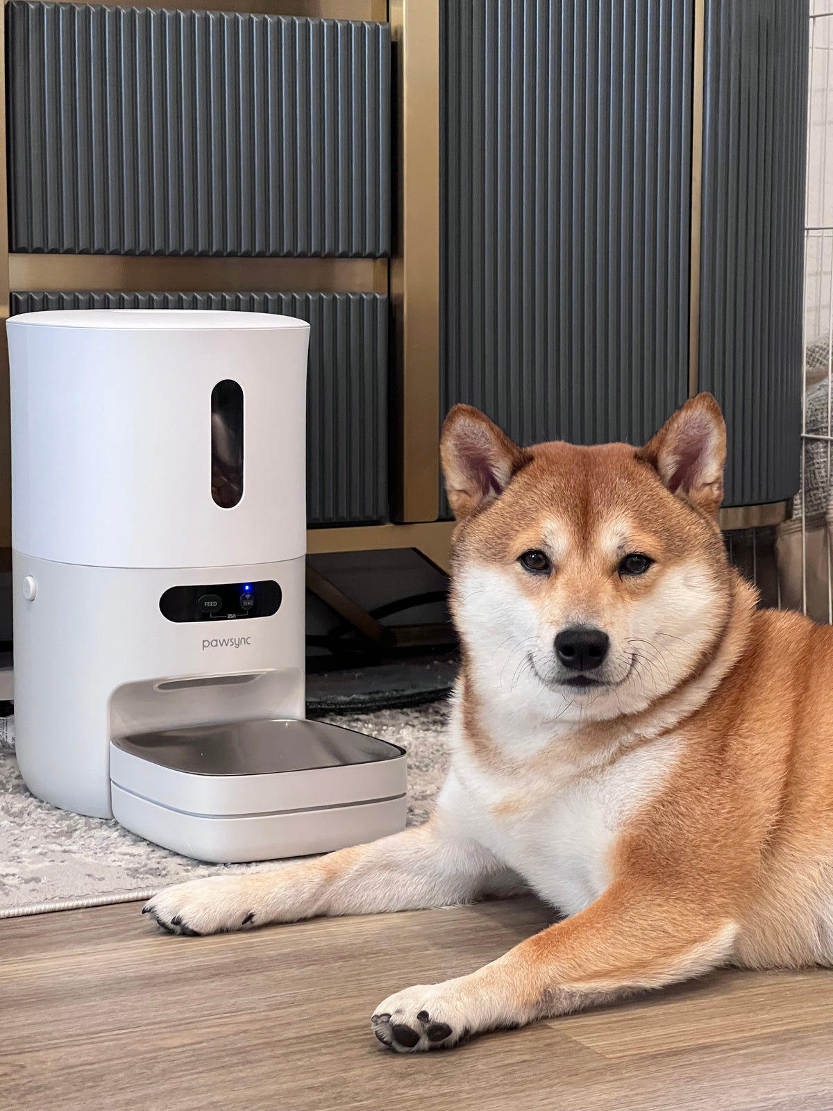 Pawsync