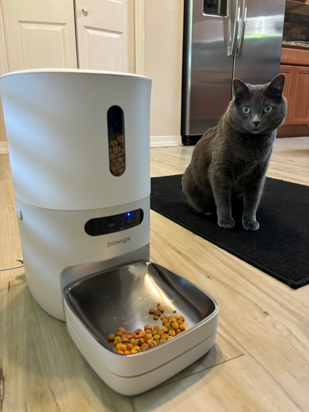 Pawsync