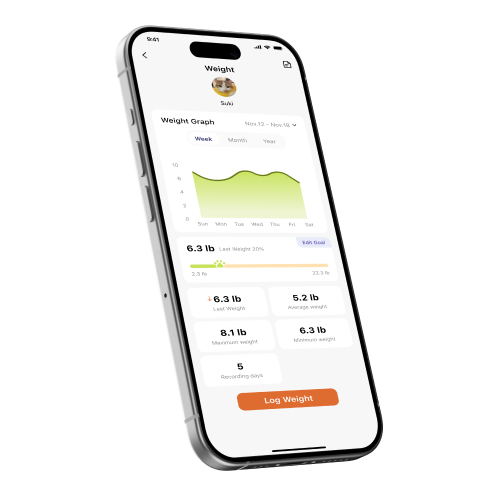 Personalized Feeding Insights 